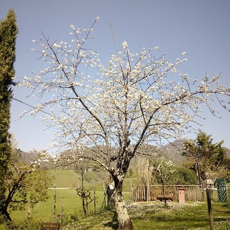 B&B Le Due Volpi Vicchio Zewnętrze zdjęcie