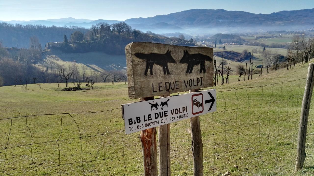 B&B Le Due Volpi Vicchio Zewnętrze zdjęcie