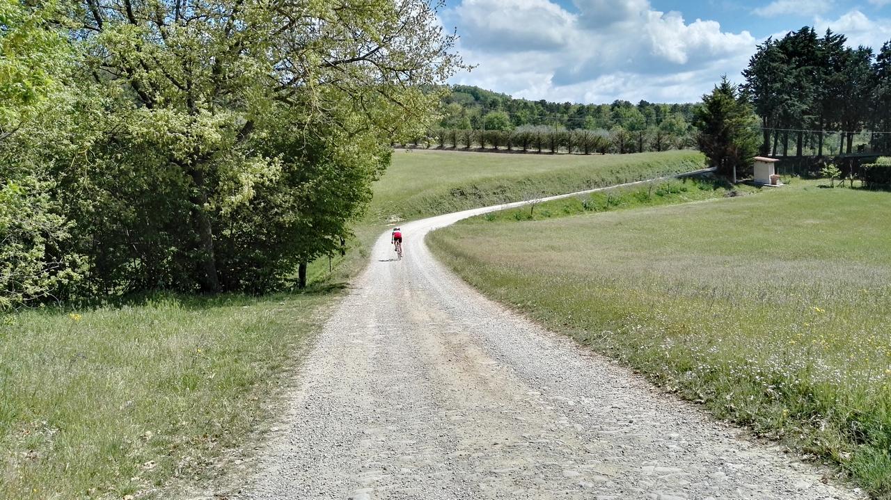 B&B Le Due Volpi Vicchio Zewnętrze zdjęcie