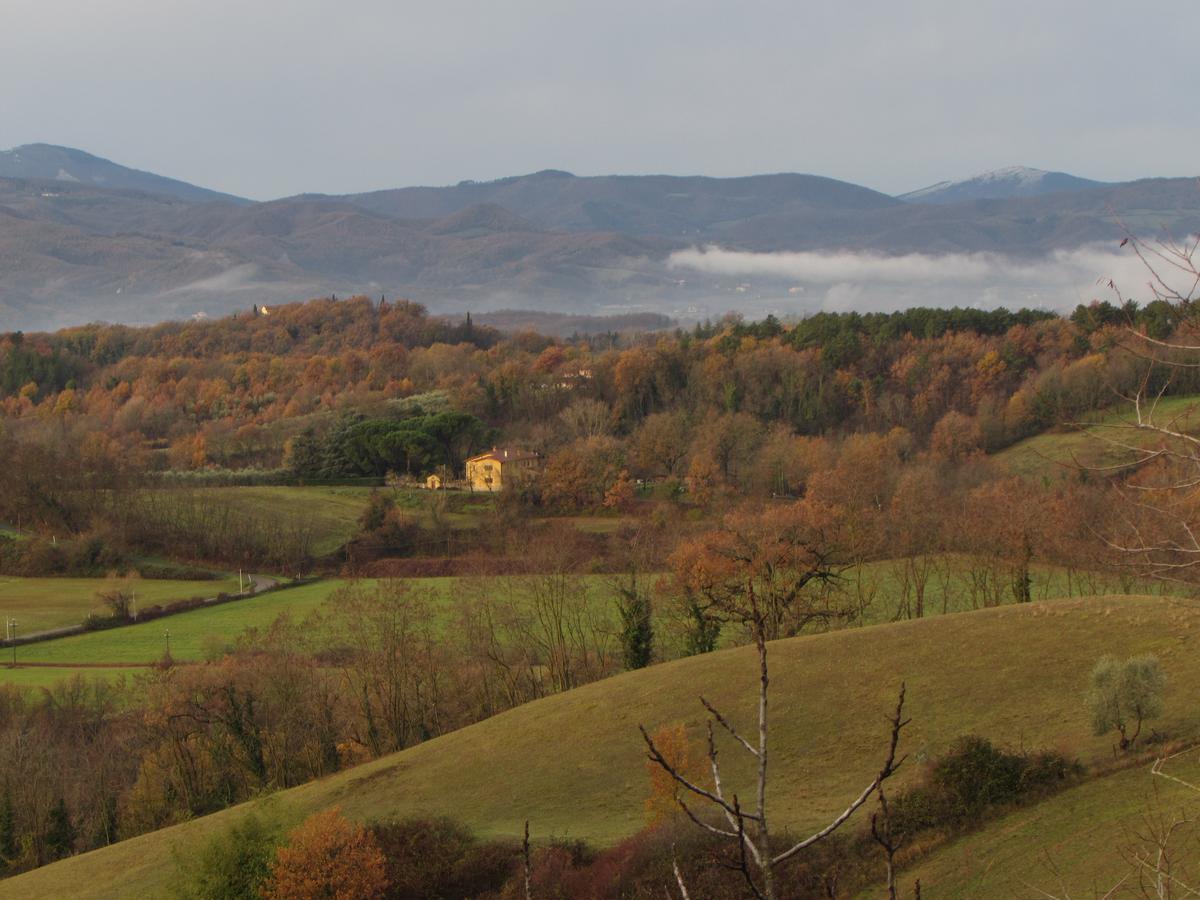 B&B Le Due Volpi Vicchio Zewnętrze zdjęcie